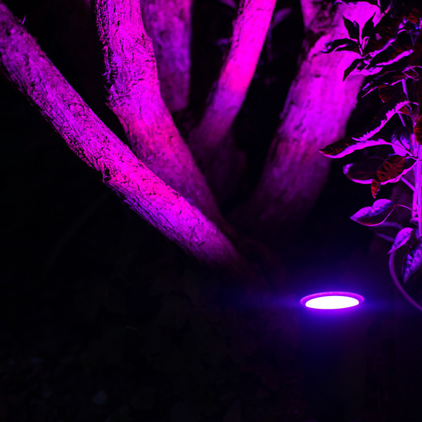 OSRAM LED Aussen-Spotleuchte Smart+ Garden Spot Multicolor Spot RGB + W Dimmbar RGBWW 4099854497650