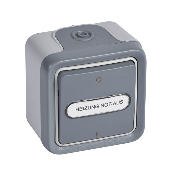 Legrand Plexo55 Feuchtraum Aufputz Heizung Not-Aus 2-polig Grau 069726