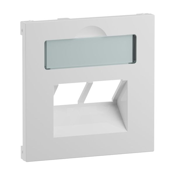 Legrand SEANO Abdeckung 2x RJ45 für Datendosen von Metz, Telegärtner und Rutenbeck, inkl. Beschriftungsfeld, Ultraweiß, 765159