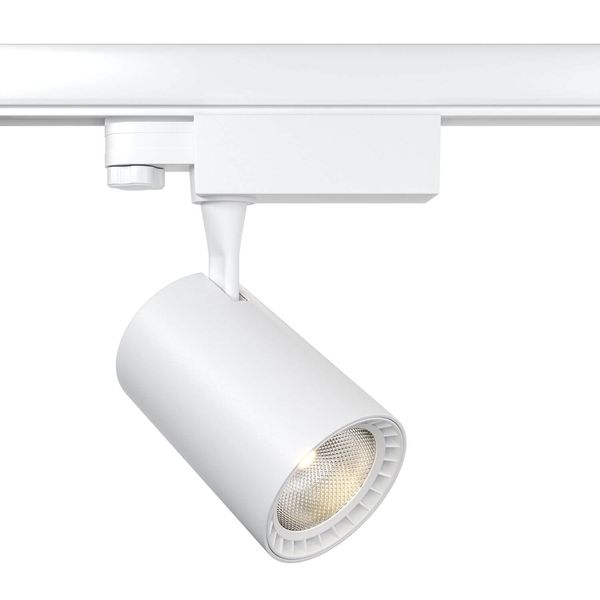 Maytoni Vuoro 3-Phasen System TRINITY LED Stromschienenleuchte 10W 3000K Weiss 90Ra Warmweiss