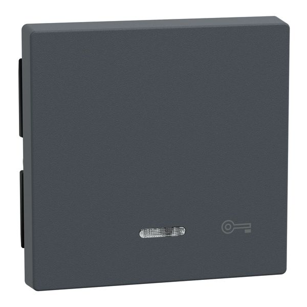 Merten 430714 Wippe mit Kontrollfenster und Aufdruck Schlüssel, anthrazit, System M