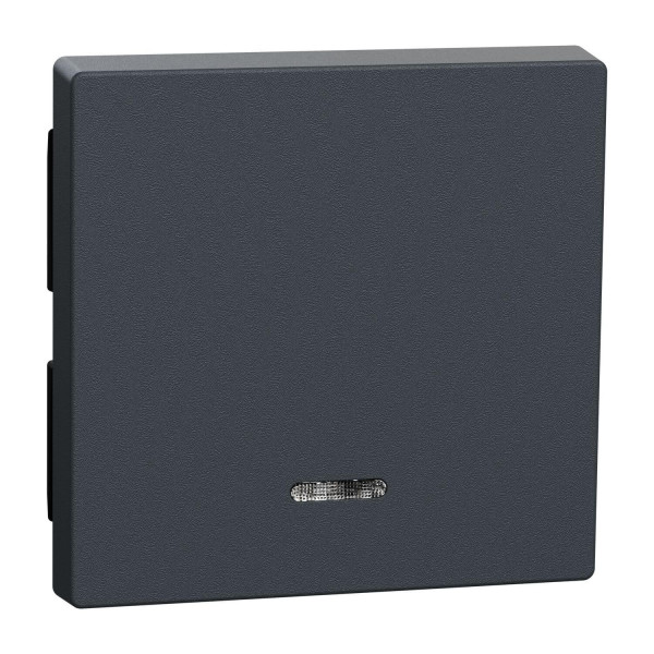 Merten 431014 Wippe mit Kontrollfenster, anthrazit, System M