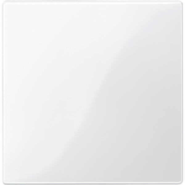 Merten 450019 Zentralplatte für Bus-Abschlussweiche und Leer-Einheit, polarweiß glänzend, System M