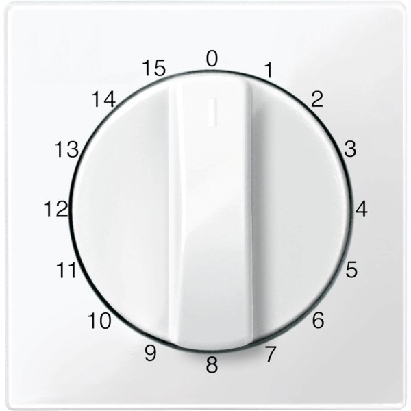 Merten 567419 Zentralplatte für Zeitschalter-Einsatz 15 min, polarweiß glänzend, System M