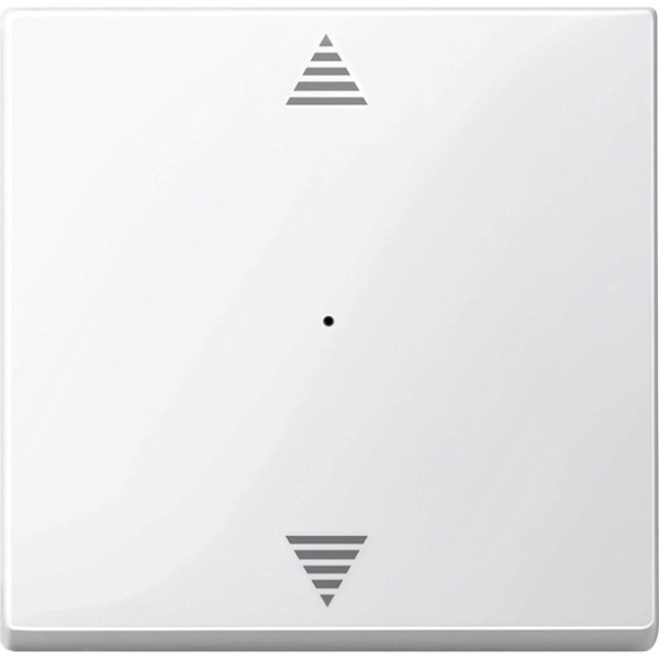Merten 619419 Wippe für Tastermodul 1fach mit Aufdruck Auf/Ab, polarweiß glänzend, System M