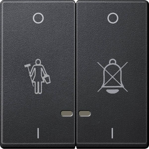 Merten MEG3429-0414 Doppelwippe mit Kontrollfenster und Kennzeichnung für Hotelanwendungen, anthrazit, System M