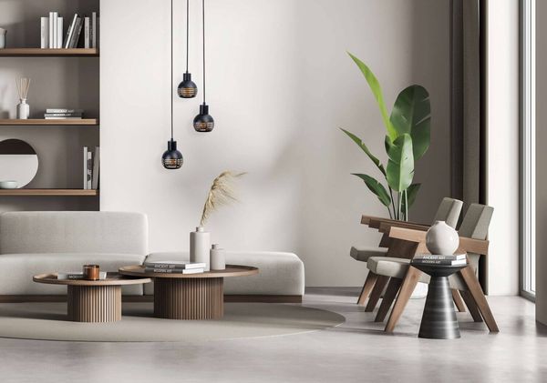 Näve Pendelleuchte CASCO Ø25cm schwarz 7092622