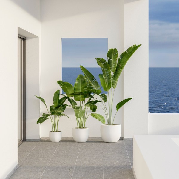 Newgarden AZALEA 50 Pflanzkübel groß rund ø50x41cm weiss 38L mit Wasserspeicher außen