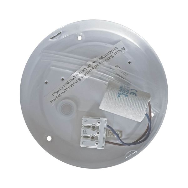 Niermann E14 Deckenleuchte Alabaster-Glas, Nickel matt, 25cm, Made in Germany