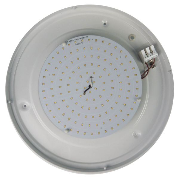 LED Niermann 56312 40cm, HF Glas, Opal Deckenleuchte Altmessing, Sensor, matt 14W