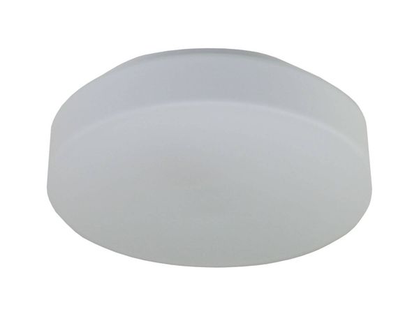 Niermann LED Nurglasleuchte Opal Glas matt 28cm, warmweiss, Made in EU