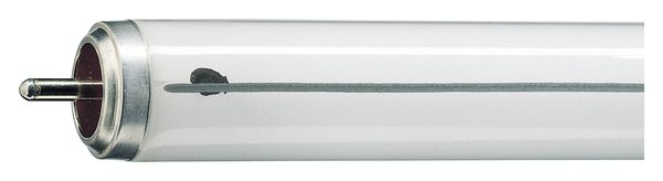 Philips Lampe TL-X XL 20W/33-640 SLV/25 940lm