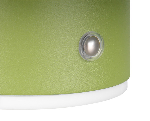 Reality R24431115 Davey LED Wandleuchte 1,5W ⌀15,5cm Grün warmweiss Touch