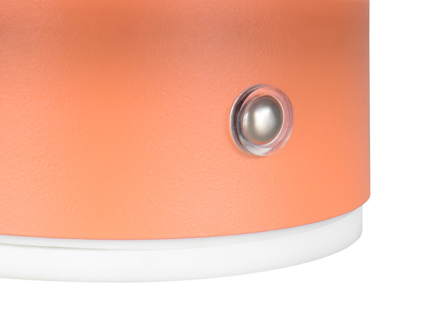 Reality R24431140 Davey LED Wandleuchte 1,5W ⌀15,5cm Apricot warmweiss Touch