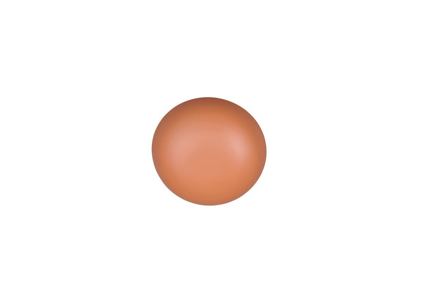 Reality R24431140 Davey LED Wandleuchte 1,5W ⌀15,5cm Apricot warmweiss Touch