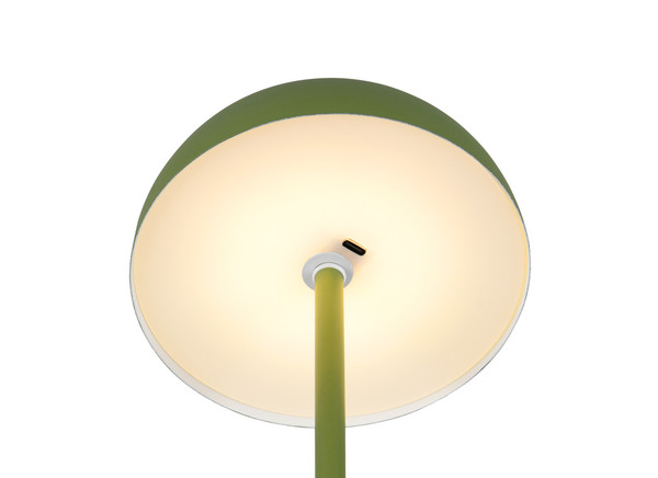 Reality R54891115 Munoz LED Tischleuchte 1,3W ⌀13cm Grün warmweiss Touch