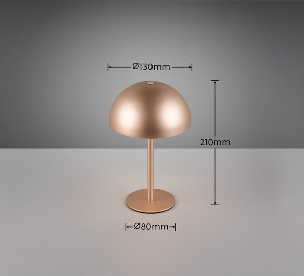 Reality R54891165 Munoz LED Tischleuchte 1,3W ⌀13cm Coffee warmweiss Touch