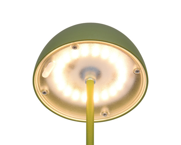 Reality R55601115 Ortiz LED Tischleuchte 2W ⌀9cm dimmbar Grün IP44 warmweiss