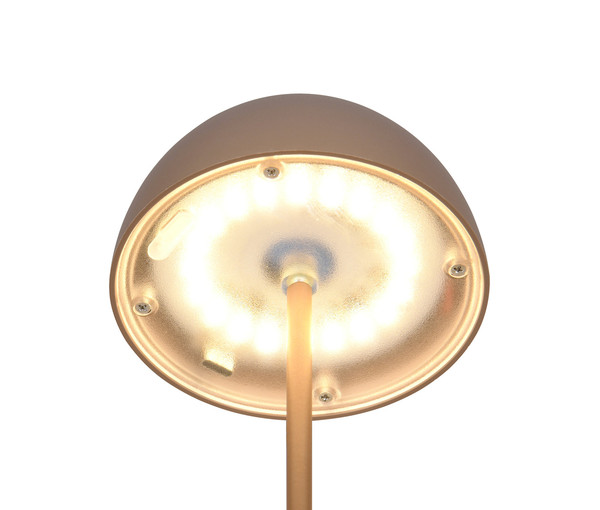 Reality R55601165 Ortiz LED Tischleuchte 2W ⌀9cm dimmbar Coffee IP44 warmweiss