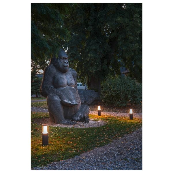 SLV 1006384 M-POL M Polehead Leuchtenkopf, anthrazit, 11W, 590/660lm, 2700/3000K, CRI90 IP65