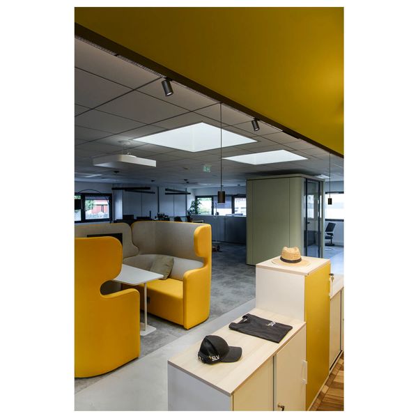 SLV 1006783 NUMINOS XS 48V TRACK, DALI, Pendelleuchte, schwarz, schwarz, 8.7W, 690lm, 3000K, CRI90, 55°