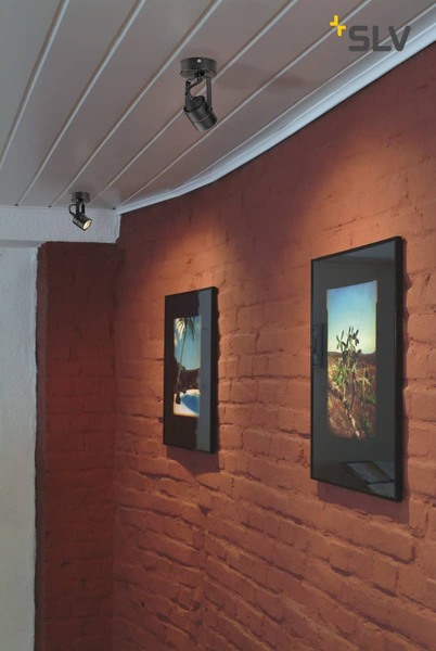 SLV 132020 SPOT 79 230V Wand- und Deckenleuchte schwarz GU10 max. 50W