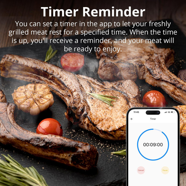 SONOFF BBQ-Fleischthermometer fürs Grillen und Kochen, Bluetooth BMT01