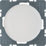 Berker 10092089 Blindverschluss mit Zentralstück R.1/R.3 polarweiß. glänzend