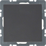 Berker 10096086 Blindverschluss mit Zentralstück Q.x anthrazit. samt