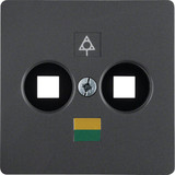 Berker 14031606 Zentralplatte für Doppel-Potenzialausgleich-Steckdose anthrazit. matt