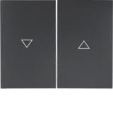 Berker 14357106 Wippe 2fach mit Aufdruck Symbol Pfeil K.1 anthrazit. matt
