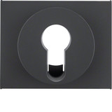 Berker 15057006 Zentralstück für Schlüsselschalter/-taster K.1 anthrazit. matt