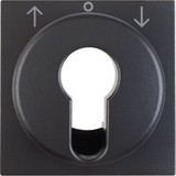 Berker 15061606 Zentralstück für Jalousie-Schlüsselschalter/-taster S.1/B.3/B.7 anthrazit. matt