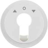 Berker 15062089 Zentralstück für Jal. Schlüsselsch./-taster. R.1/R.3. polarw. gl.