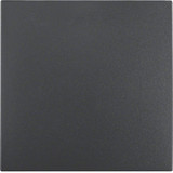 Berker 16201606 Wippe S.1/B.3/B.7 anthrazit. matt