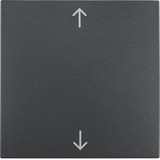 Berker 16201616 Wippe mit Aufdruck Symbol Pfeile S.1/B.3/B.7 anthrazit. matt