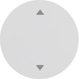 Berker 16202049 Wippe mit Aufdruck Symbol Pfeile R.1/R.3 polarweiß. glänzend