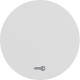 Berker 16202059 Wippe mit Aufdruck Symbol Tür R.1/R.3 polarweiß. glänzend