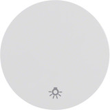 Berker 16202079 Wippe mit Aufdruck Symbol Licht R.1/R.3 polarweiß. glänzend
