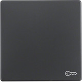 Berker 16206066 Wippe mit Aufdruck Symbol Tür Q.x anthrazit. samt