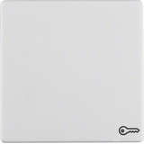 Berker 16206069 Wippe mit Aufdruck Symbol Tür Q.x polarweiß. samt