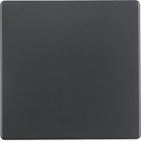 Berker 16206086 Wippe Q.x anthrazit. samt