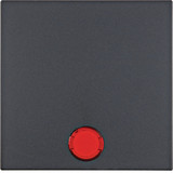 Berker 16211606 Wippe mit 5 beiliegenden Linsen S.1/B.3/B.7 anthrazit. matt