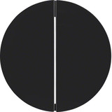 Berker 16232045 Wippe 2fach R.1/R.3 schwarz. glänzend