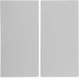 Berker 16238989 Wippe 2fach S.1/B.3/B.7 polarweiß. glänzend