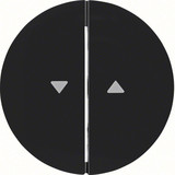 Berker 16252045 Wippe 2fach mit Aufdruck Symbol Pfeil R.1/R.3 schwarz. glänzend