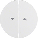 Berker 16252089 Wippe 2fach mit Aufdruck Symbol Pfeil R.1/R.3 polarweiß. glänzend