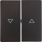 Berker 16256086 Wippe 2fach mit Aufdruck Symbol Pfeil Q.x anthrazit. samt