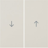 Berker 16258982 Wippe 2fach mit Aufdruck Symbol Pfeil S.1/B.3/B.7 weiß. glänzend