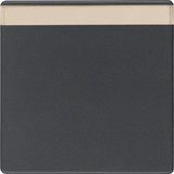 Berker 16266086 Wippe mit Beschriftungsfeld Q.x anthrazit. samt